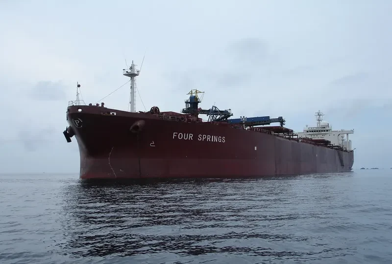 SPRING Bulk Carrier IMO 8900402 photo 3
