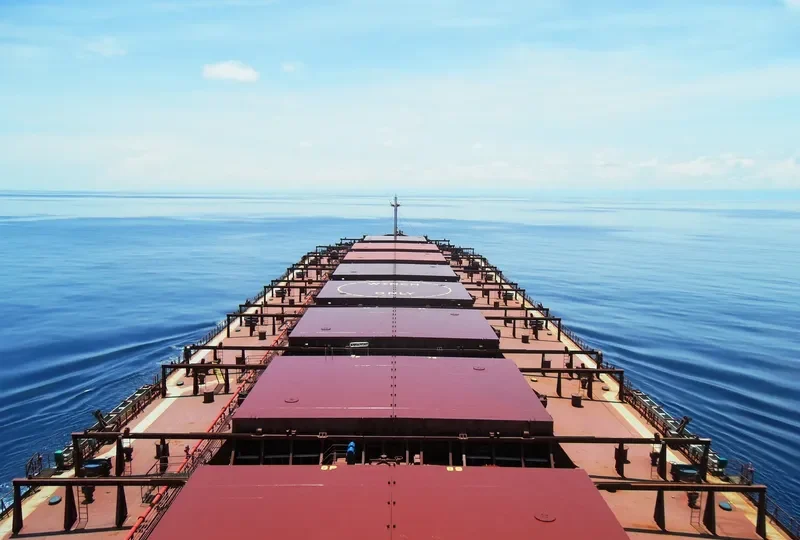 SPRING Bulk Carrier IMO 8900402 photo 4