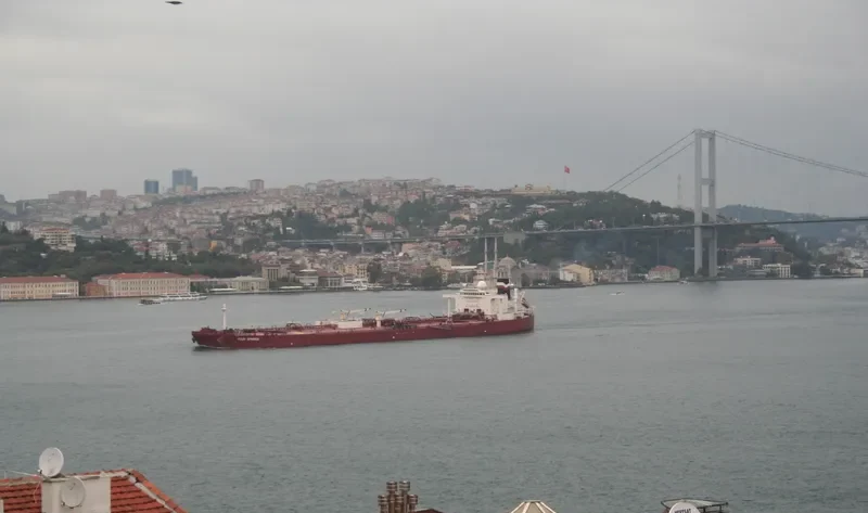 SPRING Bulk Carrier IMO 8900402 photo 6