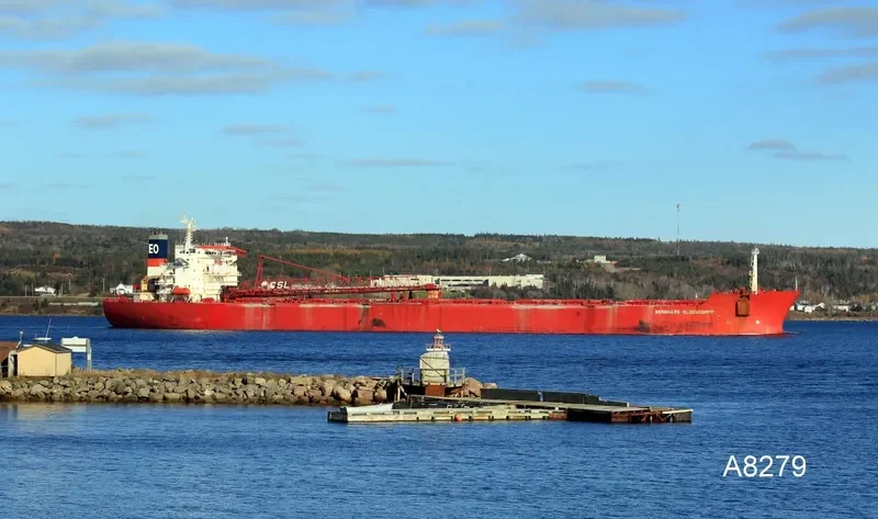 BERNI HK Bulk Carrier IMO 8900529