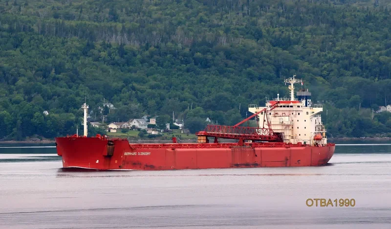 BERNI HK Bulk Carrier IMO 8900529 photo 2