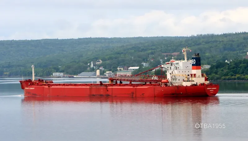 BERNI HK Bulk Carrier IMO 8900529 photo 3