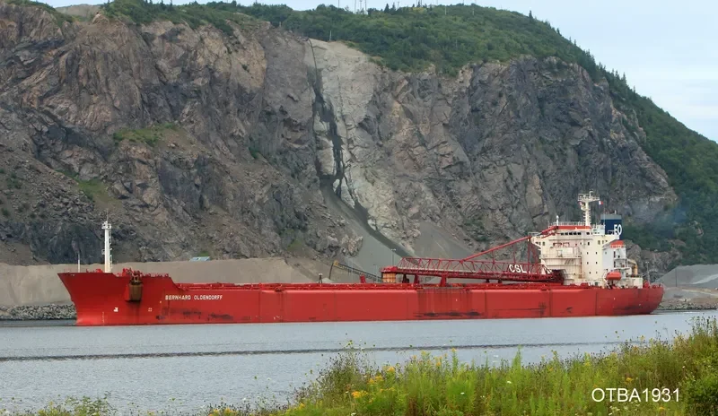 BERNI HK Bulk Carrier IMO 8900529 photo 4