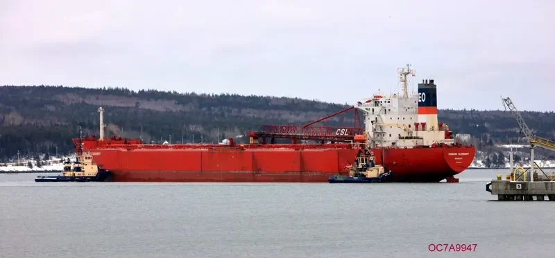 BERNI HK Bulk Carrier IMO 8900529 photo 6