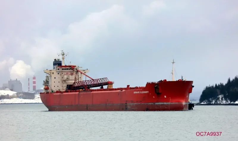 BERNI HK Bulk Carrier IMO 8900529 photo 7