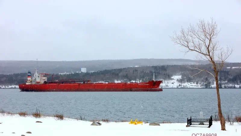 BERNI HK Bulk Carrier IMO 8900529 photo 8