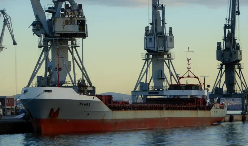BLUES General Cargo IMO 8901030 photo 3