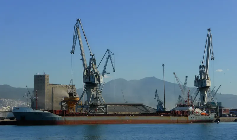 BLUES General Cargo IMO 8901030 photo 4
