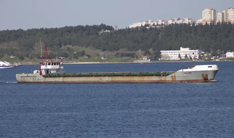 BLUES General Cargo IMO 8901030 photo 6