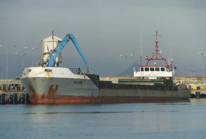 BLUES General Cargo IMO 8901030 photo 7