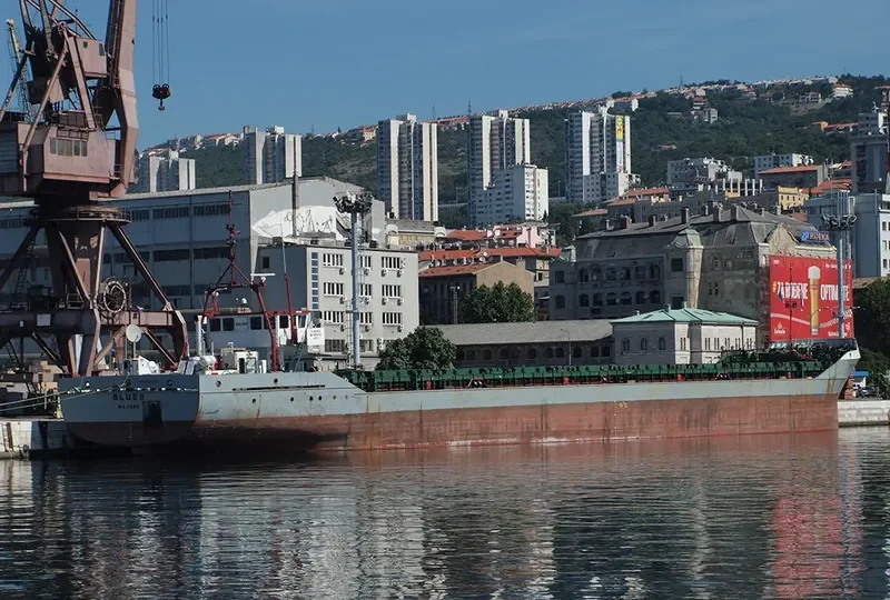 BLUES General Cargo IMO 8901030 photo 8