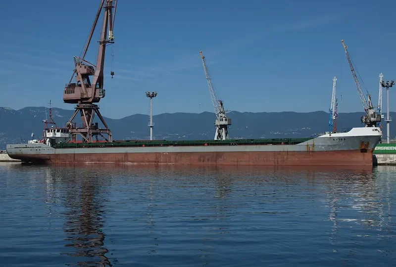 BLUES General Cargo IMO 8901030 photo 9