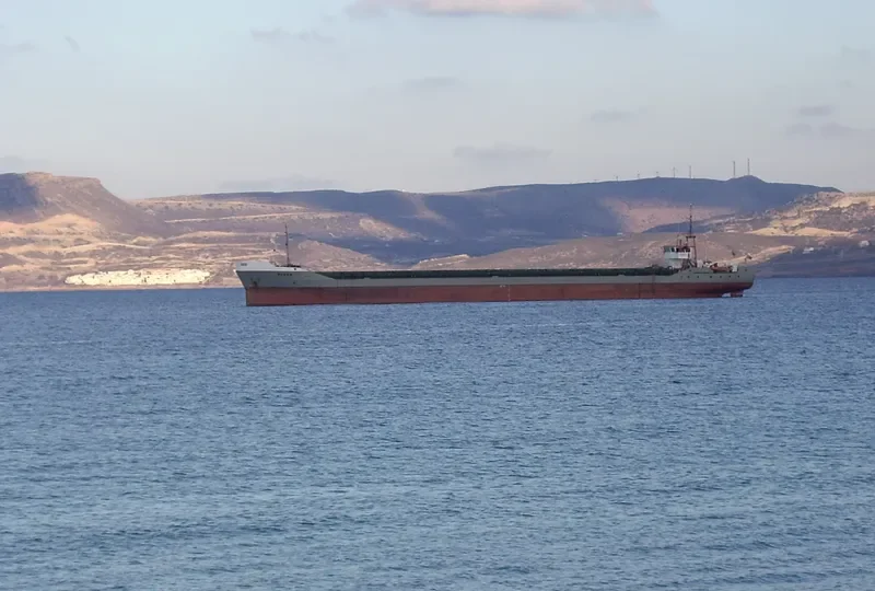 BLUES General Cargo IMO 8901030 photo 10