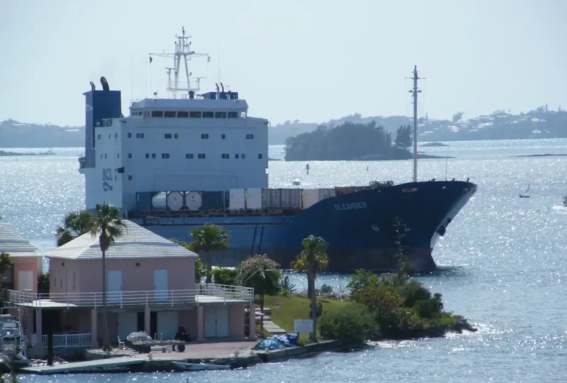 OLEANDER Container Ship IMO 8901406 photo 10
