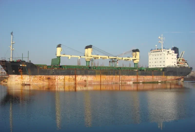 SOFIYA Bulk Carrier IMO 8901585 photo 2