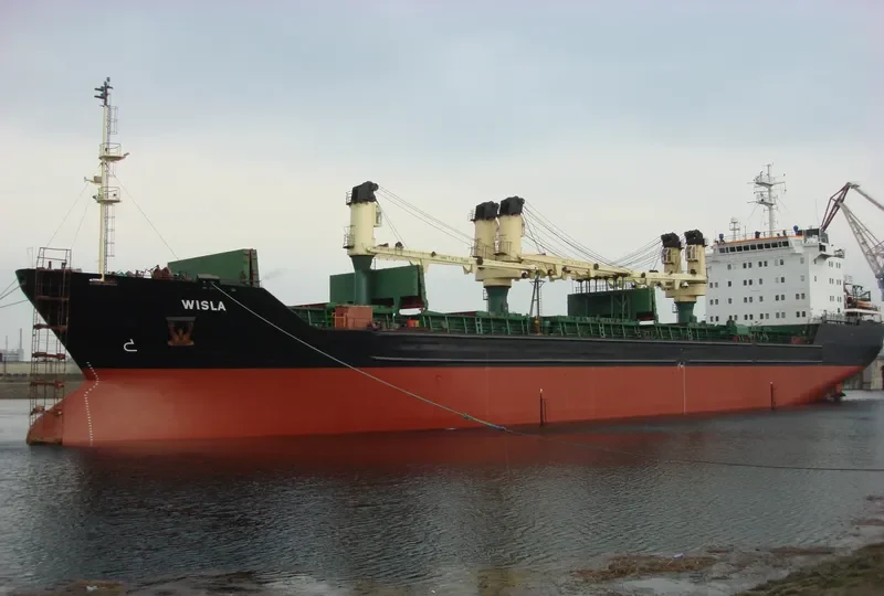 SOFIYA Bulk Carrier IMO 8901585 photo 5