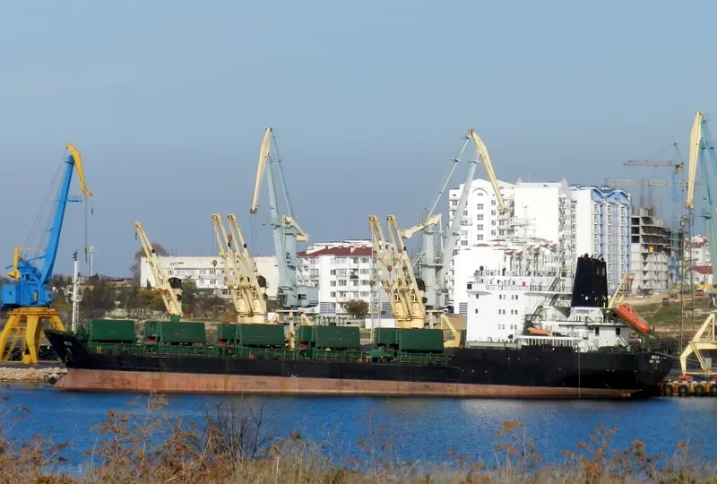 SOFIYA Bulk Carrier IMO 8901585 photo 6