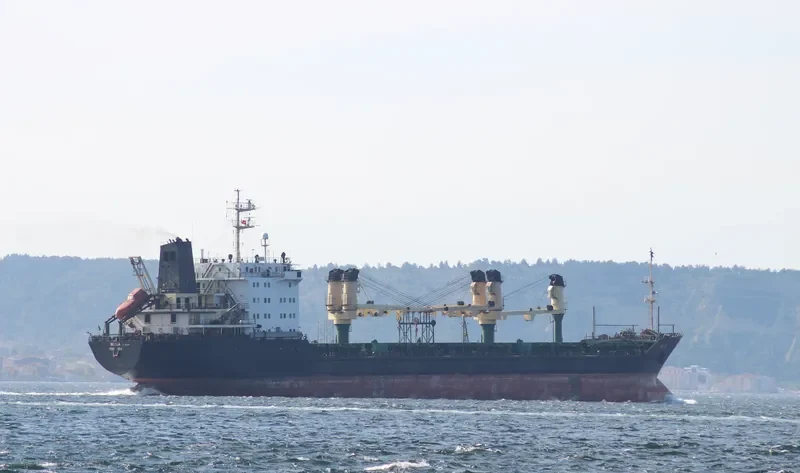 SOFIYA Bulk Carrier IMO 8901585 photo 7