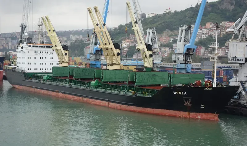 SOFIYA Bulk Carrier IMO 8901585 photo 8