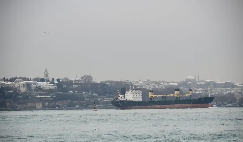 SOFIYA Bulk Carrier IMO 8901585 photo 9