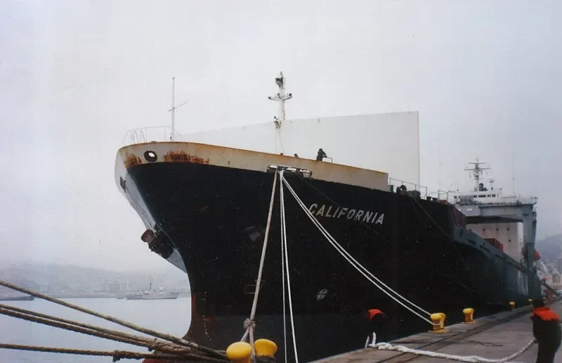 TIGER Container Ship IMO 8901743 photo 2