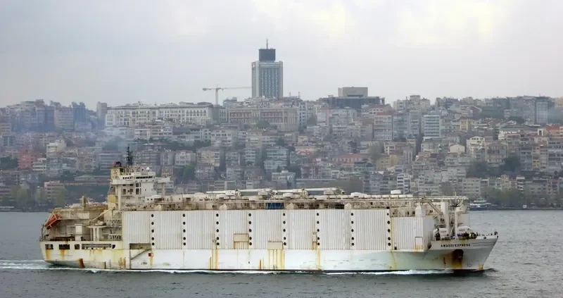 ANNA MARRA General Cargo IMO 8901860 photo 3