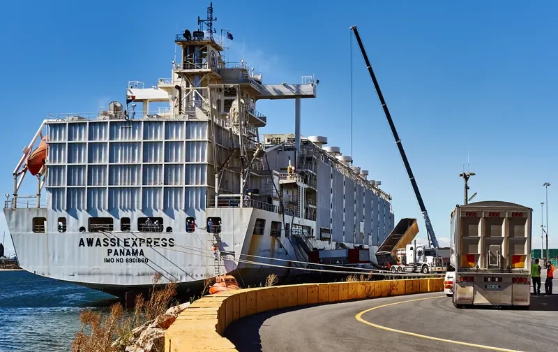 ANNA MARRA General Cargo IMO 8901860 photo 5