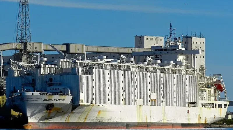 ANNA MARRA General Cargo IMO 8901860 photo 6