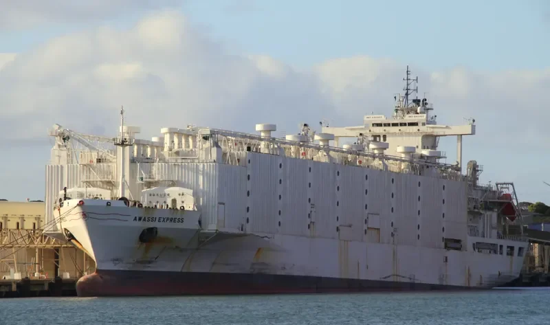 ANNA MARRA General Cargo IMO 8901860 photo 8