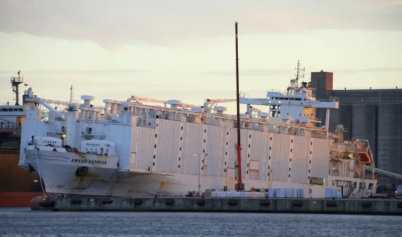 ANNA MARRA General Cargo IMO 8901860 photo 9