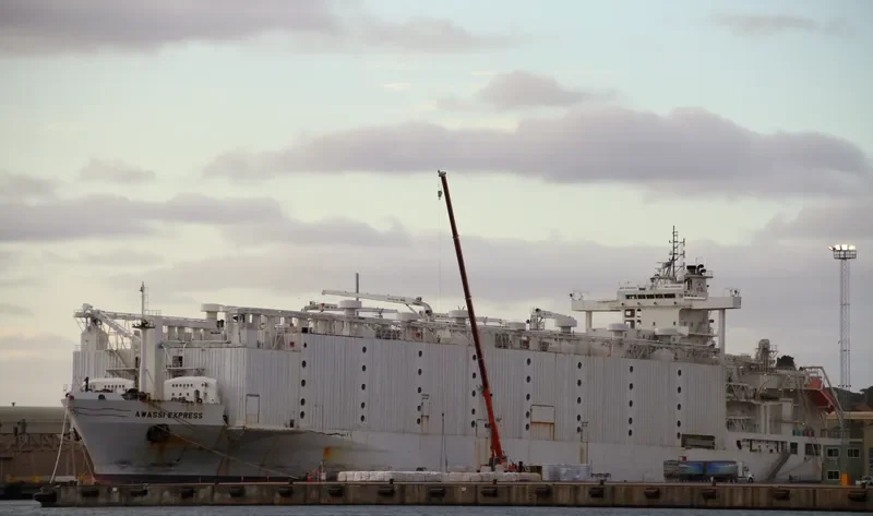ANNA MARRA General Cargo IMO 8901860 photo 10