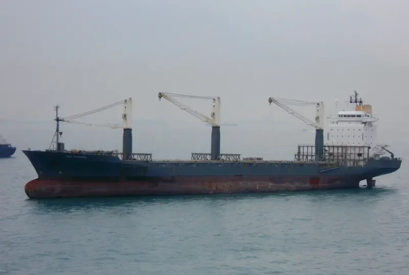 ORIENTAL RUBY Container Ship IMO 8902125