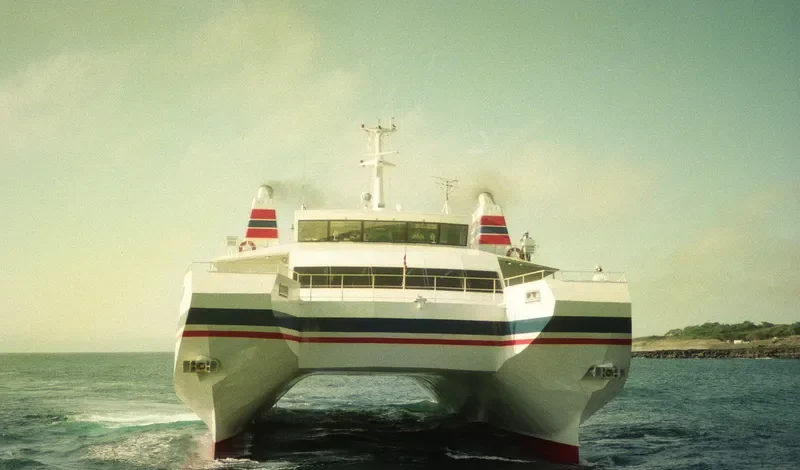 SEAGULL Passenger Ship IMO 8902149 photo 3