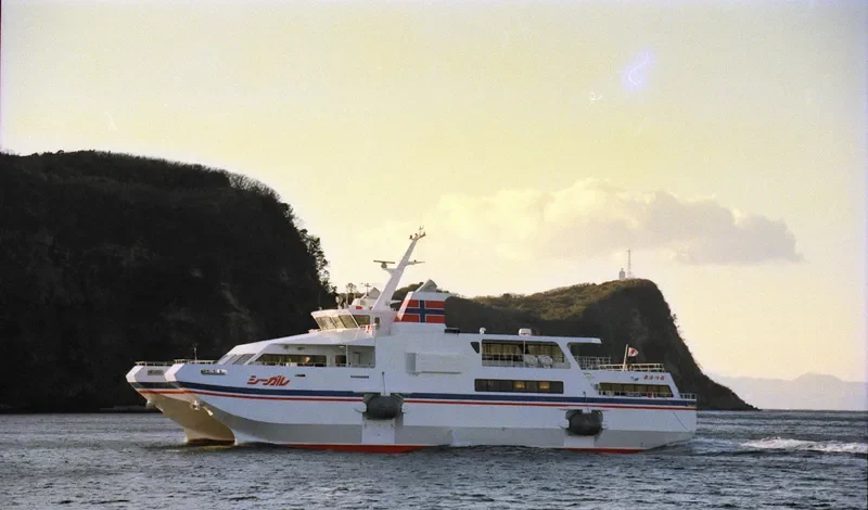 SEAGULL Passenger Ship IMO 8902149 photo 7