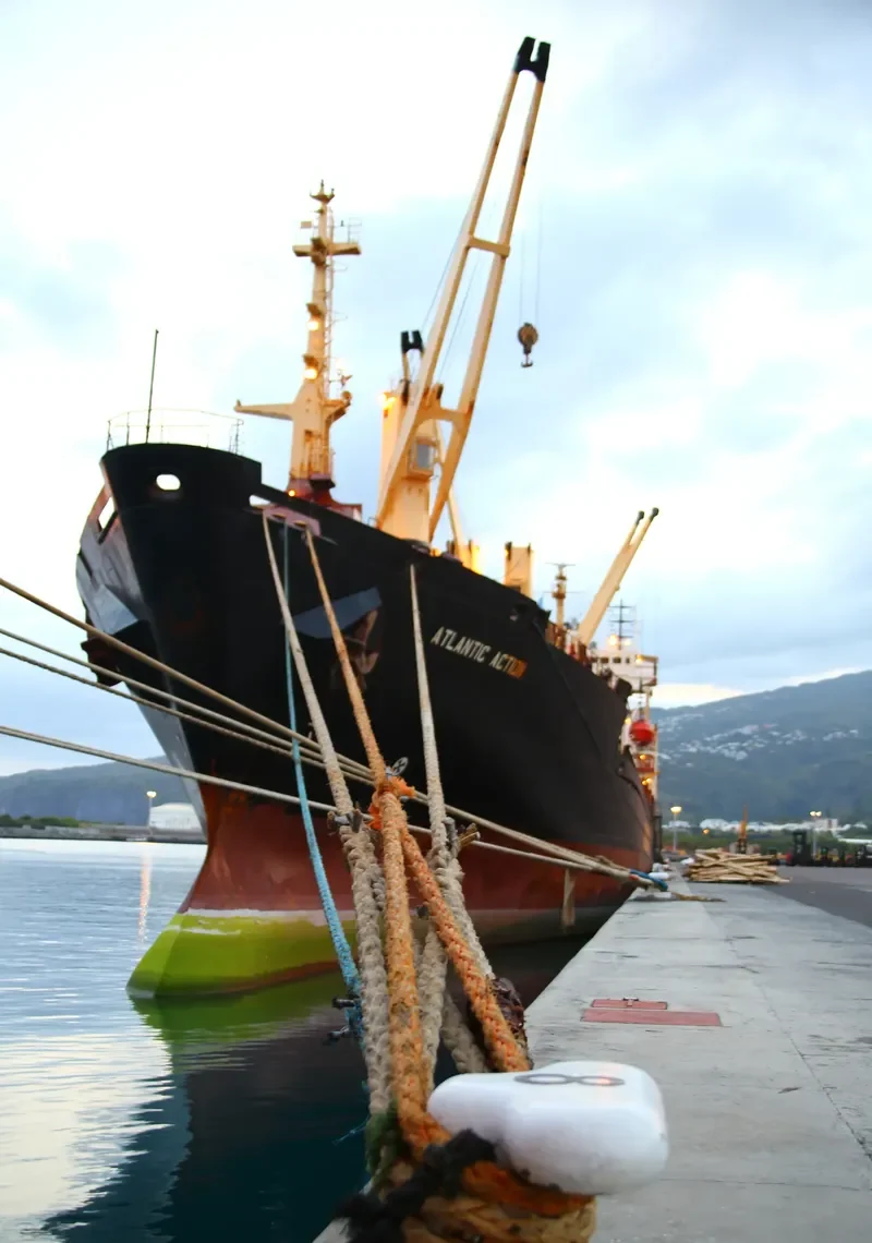 ATLANTIC ACTION General Cargo IMO 8902319 photo 3