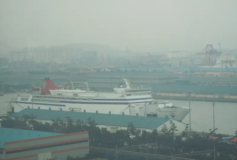 GOLDEN BRIDGE Ro-Ro IMO 8902345 photo 7