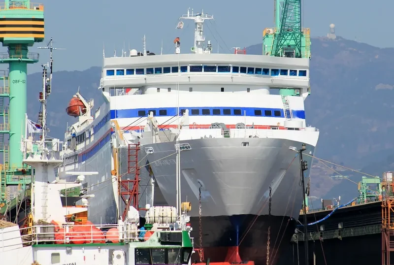 GOLDEN BRIDGE Ro-Ro IMO 8902345 photo 9