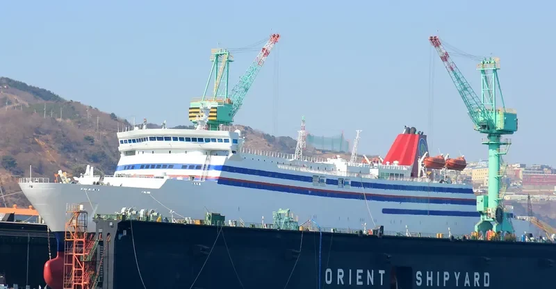 GOLDEN BRIDGE Ro-Ro IMO 8902345 photo 10
