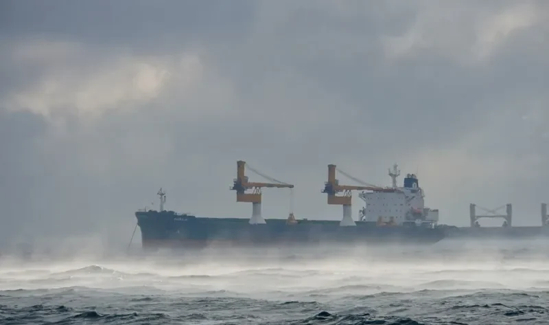 PETRA III Bulk Carrier IMO 8902436 photo 2