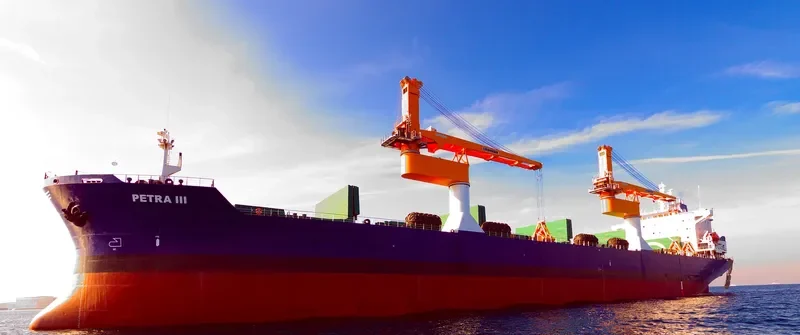 PETRA III Bulk Carrier IMO 8902436 photo 3