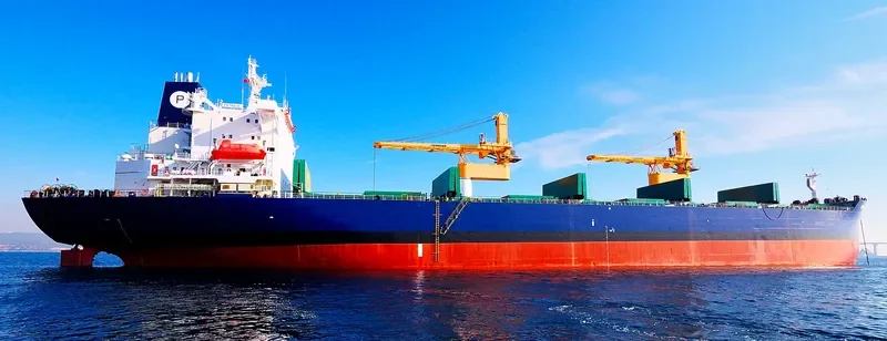 PETRA III Bulk Carrier IMO 8902436 photo 4