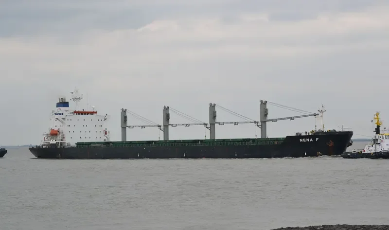 PETRA III Bulk Carrier IMO 8902436 photo 6