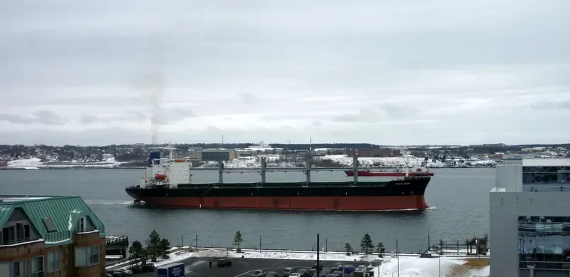 PETRA III Bulk Carrier IMO 8902436 photo 7