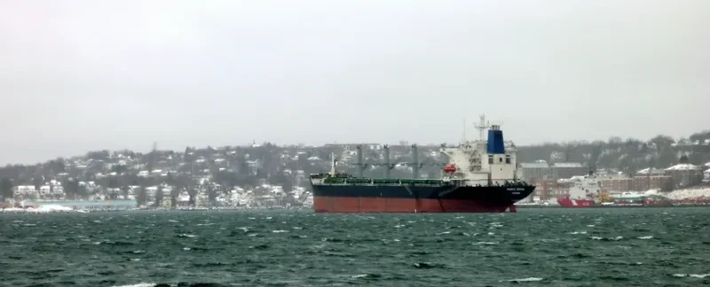 PETRA III Bulk Carrier IMO 8902436 photo 8