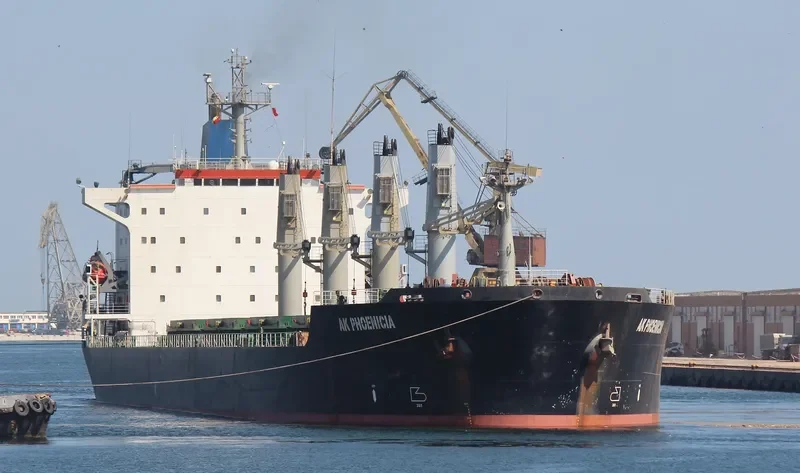 AK PHOENICIA Bulk Carrier IMO 8902448 photo 2