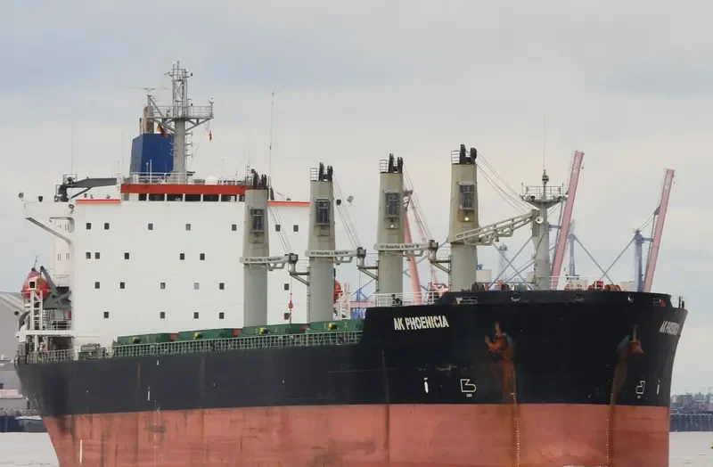 AK PHOENICIA Bulk Carrier IMO 8902448 photo 3