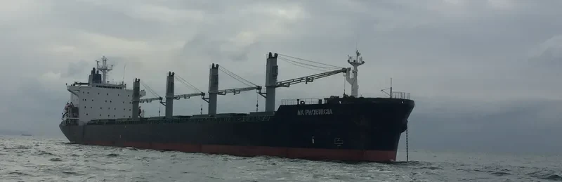 AK PHOENICIA Bulk Carrier IMO 8902448 photo 5