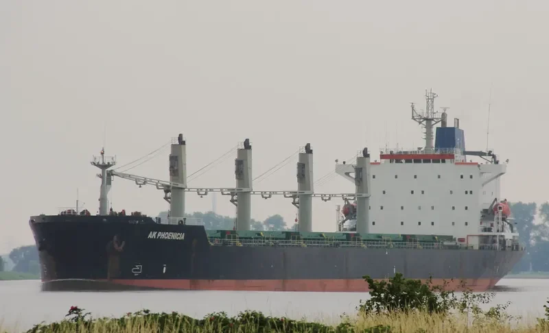 AK PHOENICIA Bulk Carrier IMO 8902448 photo 7