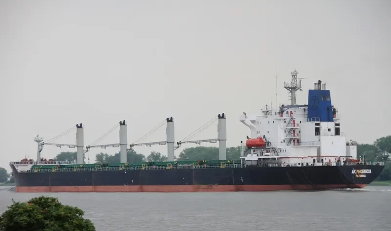 AK PHOENICIA Bulk Carrier IMO 8902448 photo 8