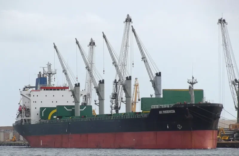 AK PHOENICIA Bulk Carrier IMO 8902448 photo 9